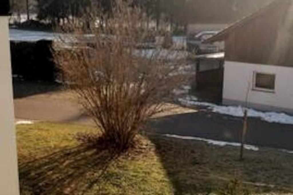 Ferienwohnung zur dicken Berta Wolfegg Exterior foto